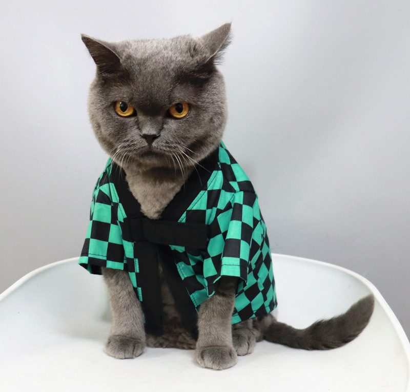 鬼灭之刃cos宠物披风猫咪披风夏季薄款防掉毛空调房衣服cos