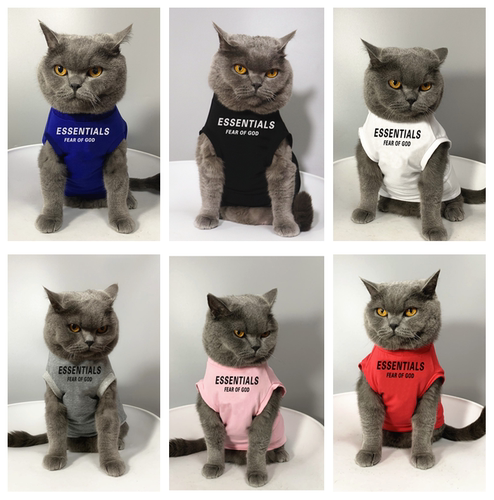 美式宠物猫咪比熊小狗衣服纯棉透气秋冬季无袖卫衣猫咪防掉毛衣服