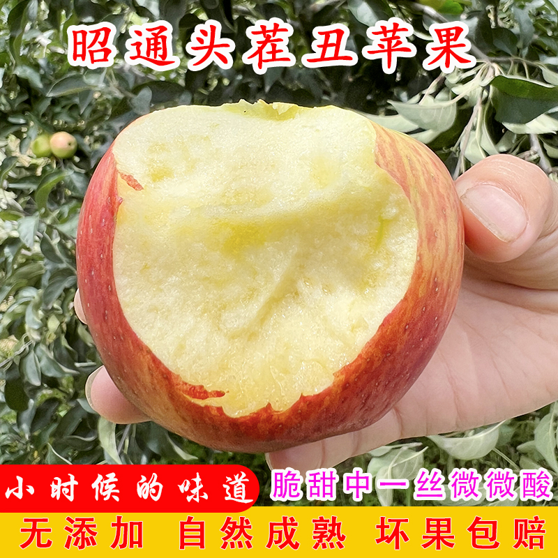 【2025头茬]云南昭通丑苹果当季新鲜水果现摘红富士孕妇苹果10斤