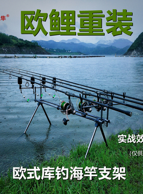 欧式鲤钓竿库钓远投滩投抛竿carp竿拉线回线报警器铝合金海竿支架