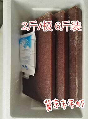 鲜活速冻丰年虾卤虫鱼食丰年虾