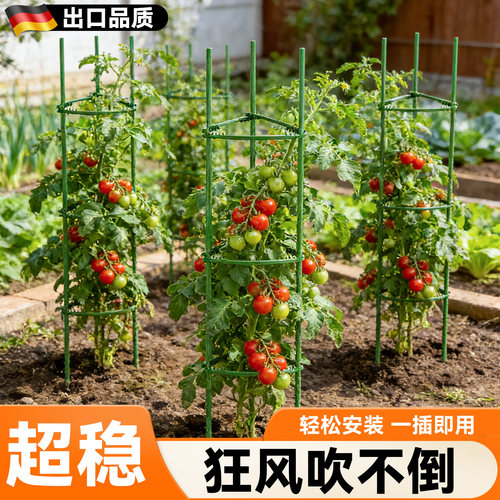 苏塑西红柿爬藤支撑架