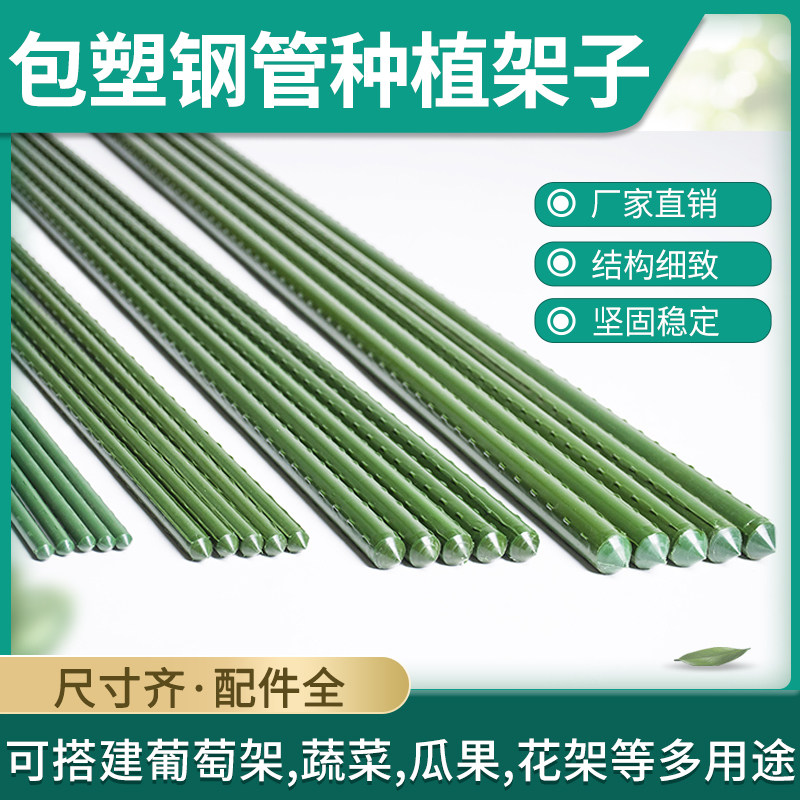 葡萄架钢管 价格 怎么样 图片