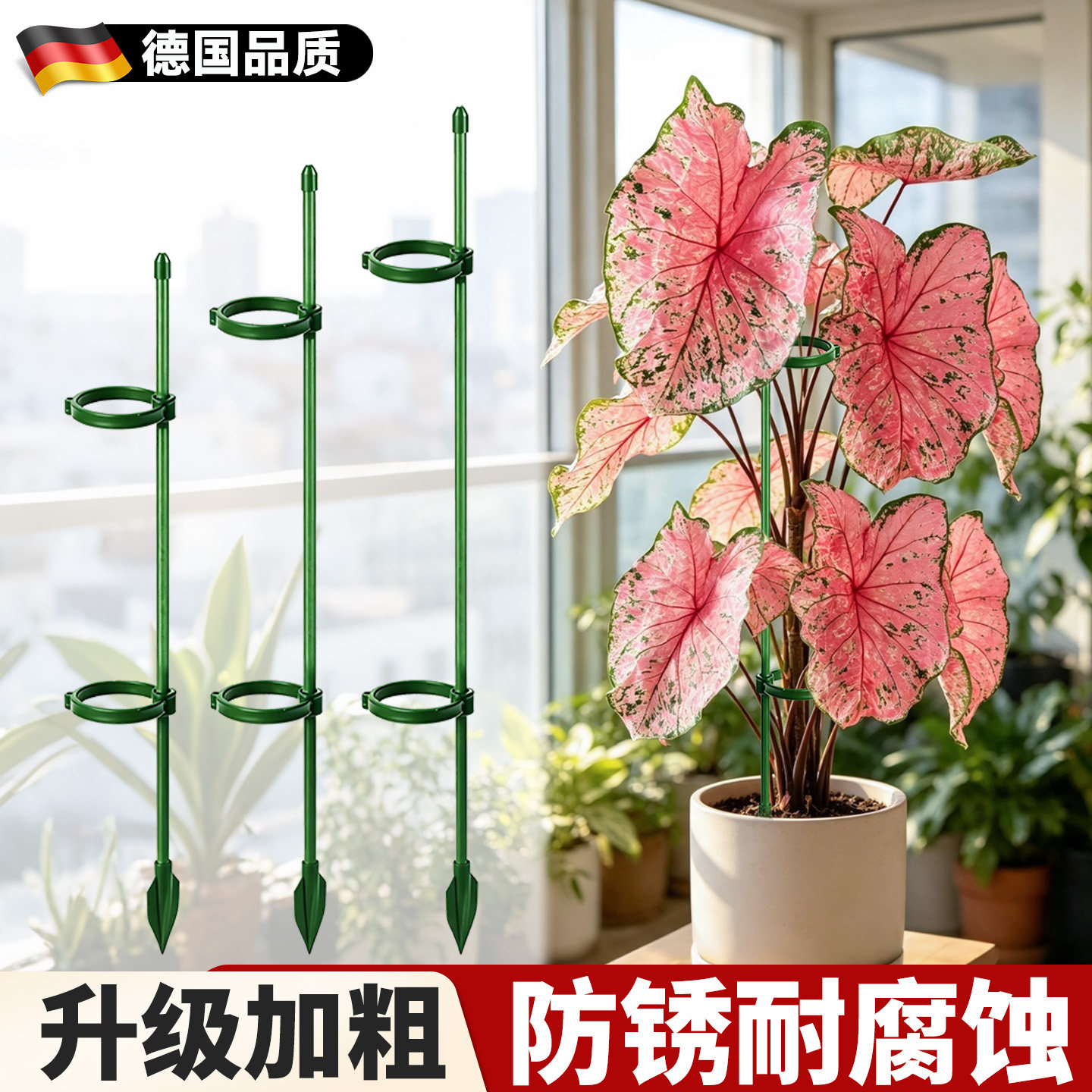 彩叶芋支撑杆花架爬藤架花支撑架园艺造型植物攀爬架绿植固定支架图片