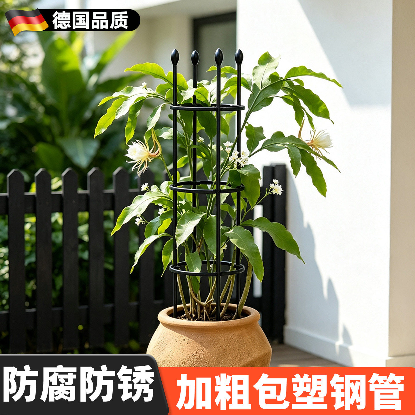 昙花专用支架植物花卉支撑架图片