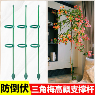 三角梅高飘支撑杆爬藤架植物支撑杆固定器花架造型支架造型花支架