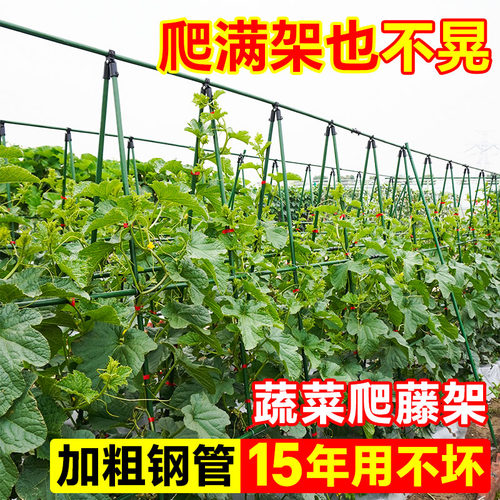苏塑户外蔬菜搭棚爬藤支架