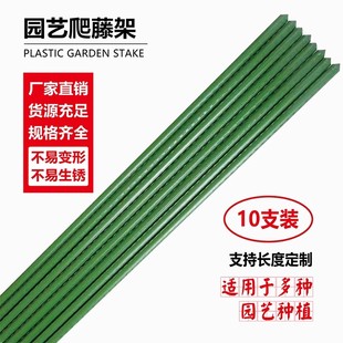 爬藤架子花支架户外葡萄架花园月季 花架庭院种菜架豆角黄瓜攀爬杆