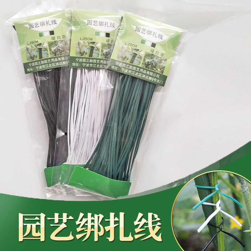 园艺扎带包塑扎线铁丝扎线月季爬藤植物固定绳捆扎带绑花神器支架,鲜花速递/花卉仿真/绿植园艺,其它园艺用品,淘宝优惠券,粉丝福利购,淘宝优惠卷