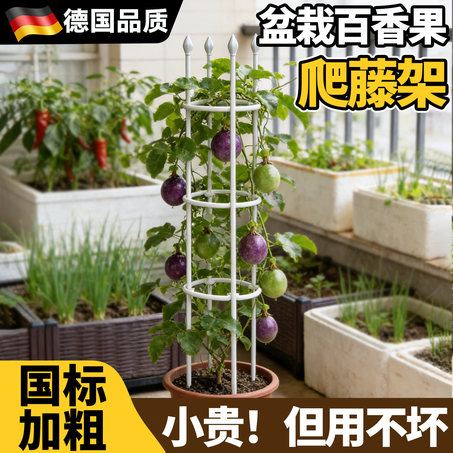 盆栽百香果支撑架黄瓜豆角爬藤架图片