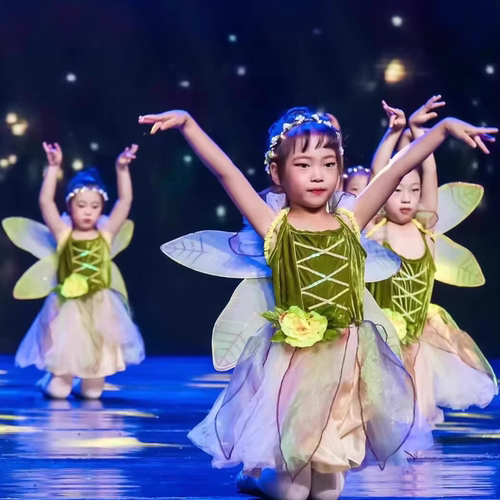小蜜蜂花仙子萤火虫舞蹈演出服
