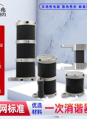一次消谐器 LXQ-II-10~24~35KV一次绕组中性点用消协器 消谐装置