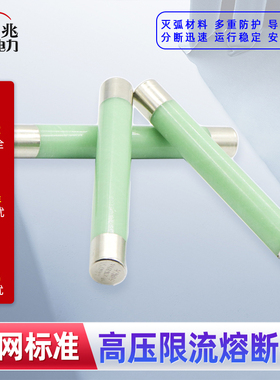 XRNP-10高压限流熔断器XRNP-10KV/0.5A XRNP1-12KV/ 高压熔管