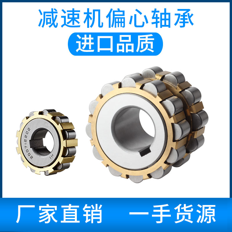 RN307整体双偏心轴承套摇摆减速机专用309 312双列205进口品质206