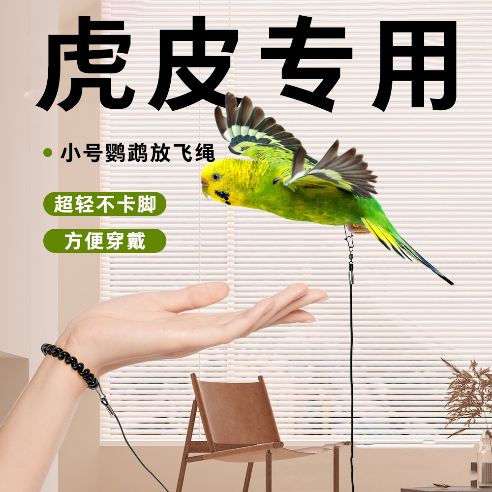 鹦鹉牵引绳虎皮鹦鹉放飞绳专用不伤脚超轻训练绳背带遛鸟绳神器