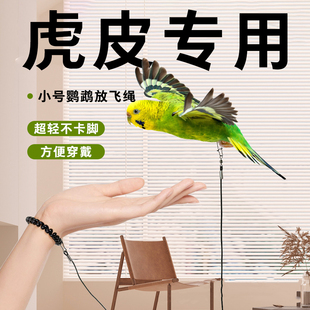 鹦鹉牵引绳虎皮鹦鹉放飞绳专用不伤脚超轻训练绳背带遛鸟绳神器