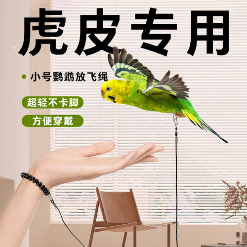 鹦鹉牵引绳虎皮鹦鹉放飞绳专用不伤脚超轻训练绳背带遛鸟绳神器