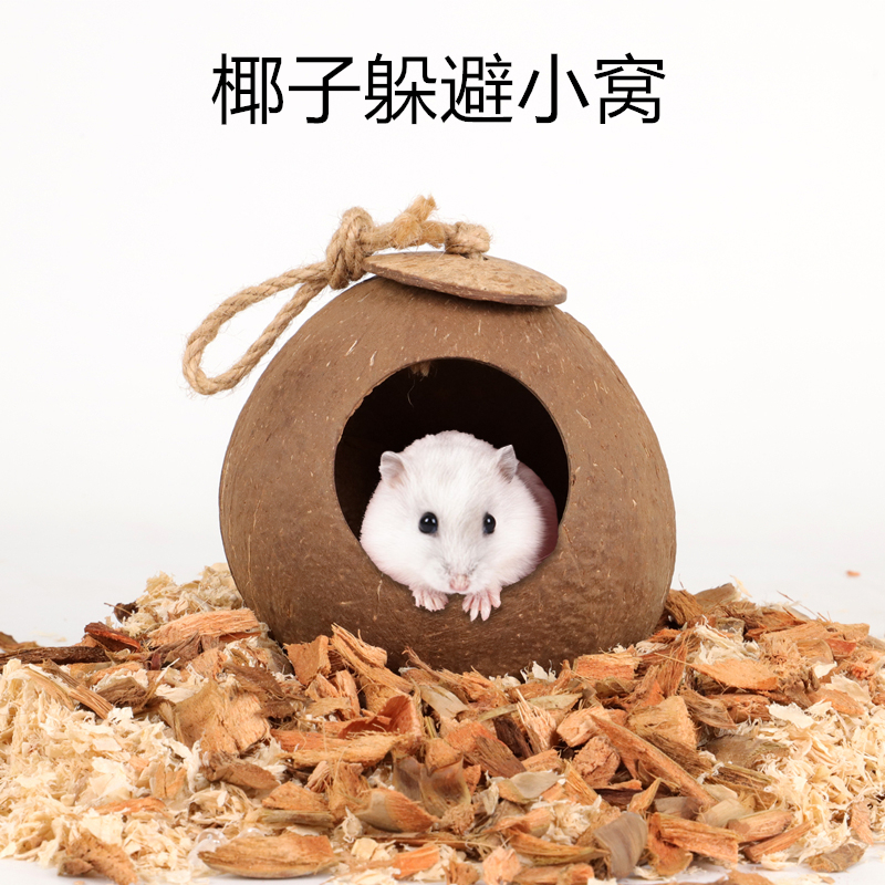 加卡仓鼠椰壳窝躲避屋降温椰子造景用品金丝熊房子别墅花枝鼠小窝