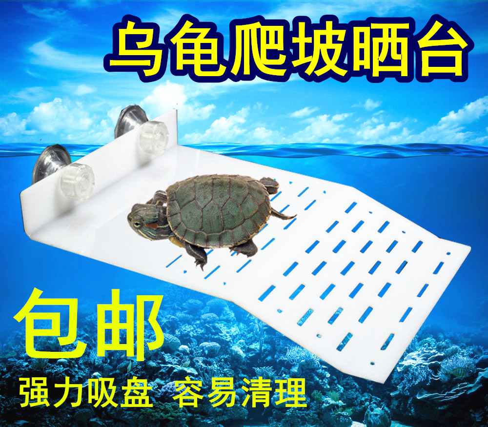 烏龜曬台亞克力曬背台巴西龜浮島爬台龜爬坡水陸缸水族箱造景包郵在類目 寵物/寵物食品及用品, 水族世界, 魚缸等水族設備, 其它水族用具設備中 - 來自Buy2taobao.com提供專業的淘寶代購服務