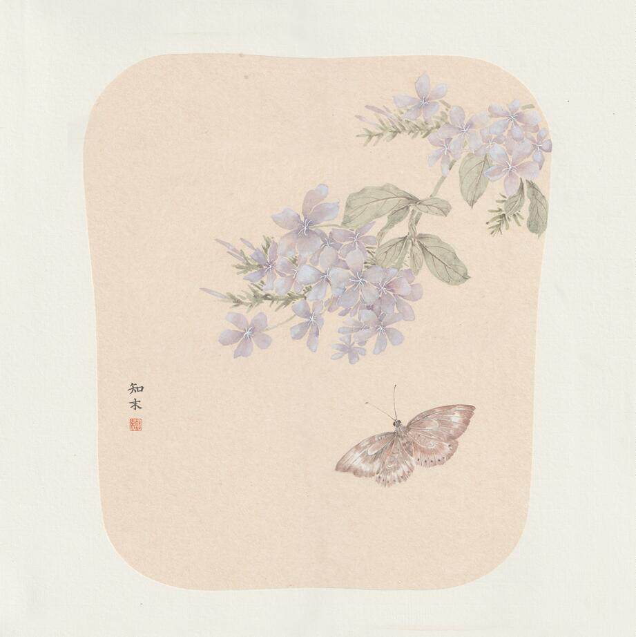 桑皮卡 纸没骨国画 工笔画 熟纸 多好画社 正方形 圆形 芭蕉形 椭