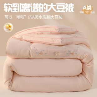 2025新款 被保暖被 春秋被4斤单人被芯150X200加厚冬被双人盖被四季