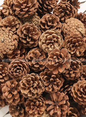 松果装饰松塔松球干花手工diy森林幼儿园环创干树枝野生创意摆件