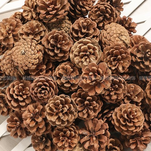 松果装饰松塔橡果干花手工diy