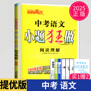 2025全新正版恩波教育小题狂做中考语文阅读理解提优版初中古诗文文言文现代文阅读专项训练教辅练习册资料书初三中考复习用书