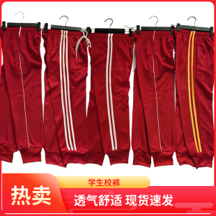 红色校服裤子男女一条杠白边小学初中春夏季透气学生运动三杠收脚