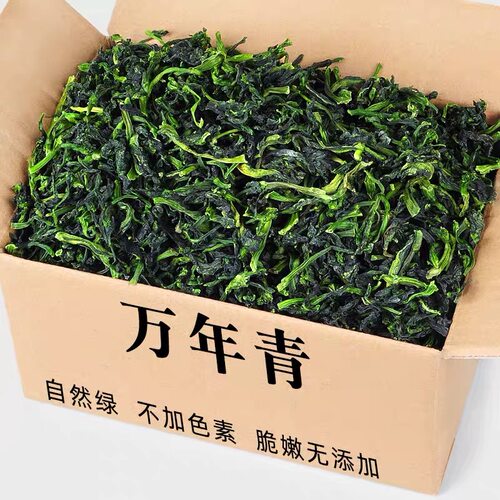 徽味情安徽黄山色泽嫩绿脱水菜心