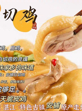 安铺鸡白切鸡湛江农村散养土鸡农户深山走地鸡大扇鸡老母鸡土鸡项
