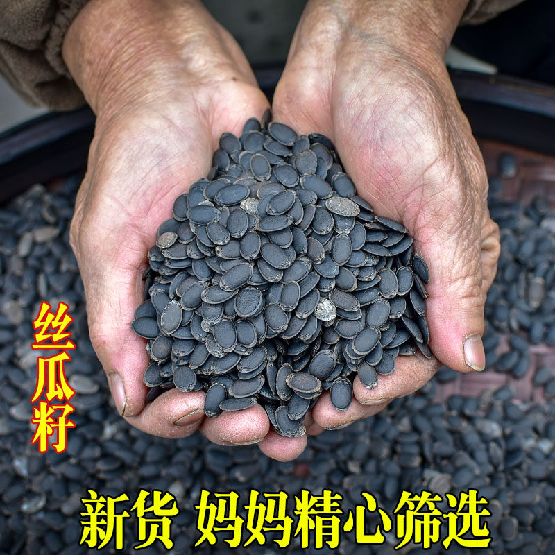 丝瓜子丝瓜籽生丝瓜子黑丝瓜子籽粉中药材500克包邮另售白丝瓜子