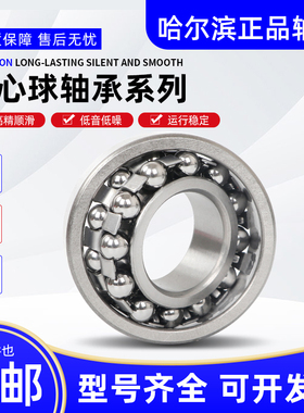 哈尔滨轴承2305 2306 2307 2308 2309 2310 2311 2312 2313/P5