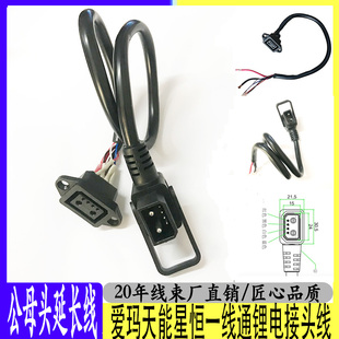 电动自行车充电线爱玛天能星恒一线通锂电池充放电转换国标接头线