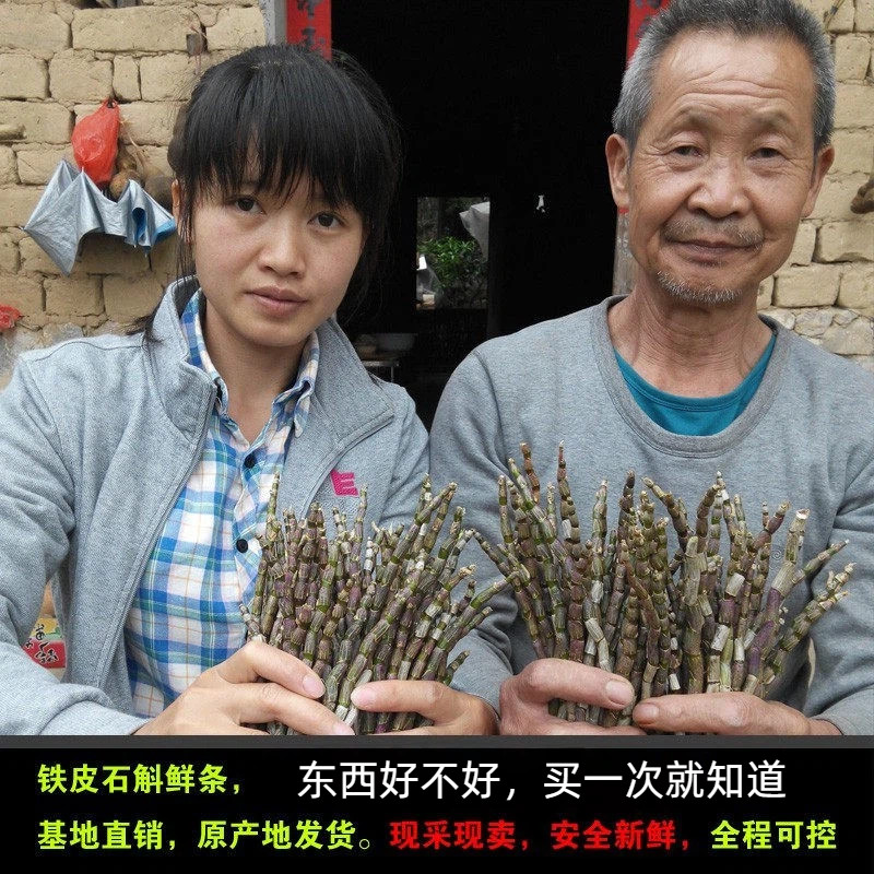 安徽霍山铁皮石斛鲜条买3送1送同款霍山野外新鲜铁皮石斛250g胶好