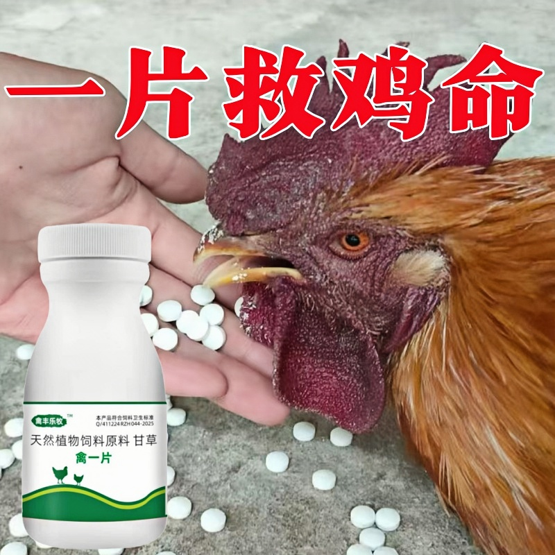 养鸡专用急救药鸡病鸡流瘟感打蔫呼咳噜嗽拉白稀便不吃鸡药禽一片
