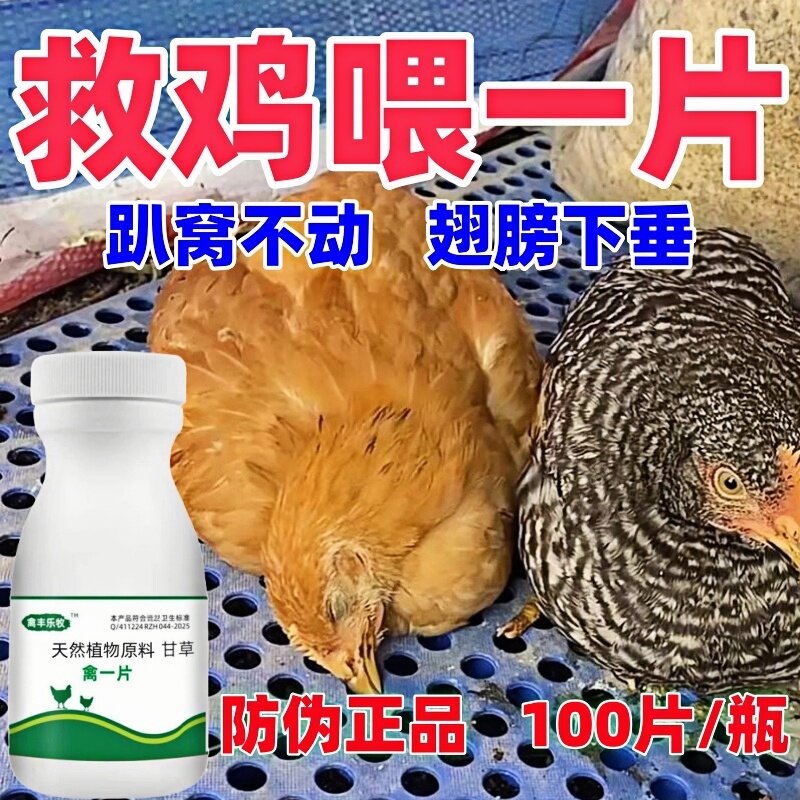 养鸡救命药正品禽一片养鸡专用药图片