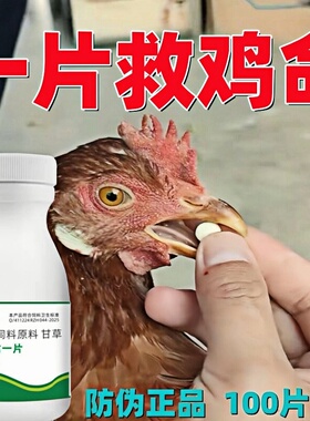 正品禽一片养鸡专用鸡药小鸡药救急片呆立不食精神不振鸡鸭鹅通用