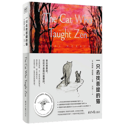 一只去找菩提的猫心灵疏导