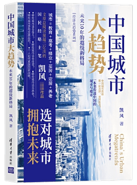 中国城市大趋势 未来10年的超级新格局 凯风 著 经济