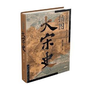 插图大宋史 虞云国 著 历史