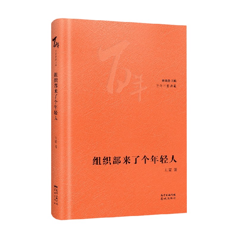 组织部来了个年轻人王蒙