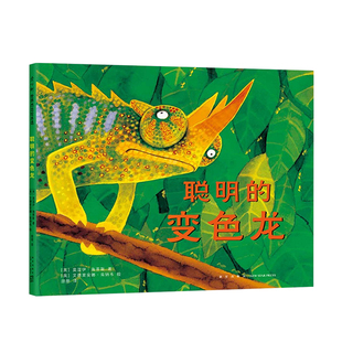 变色龙 著 莫温伊•海蒂斯 儿童绘本 6岁 聪明
