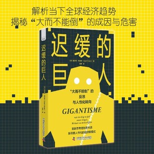 反思与人性化转向 赫尔特·努尔斯 Geert 迟缓 著 大而不能倒 Noels 经济 巨人