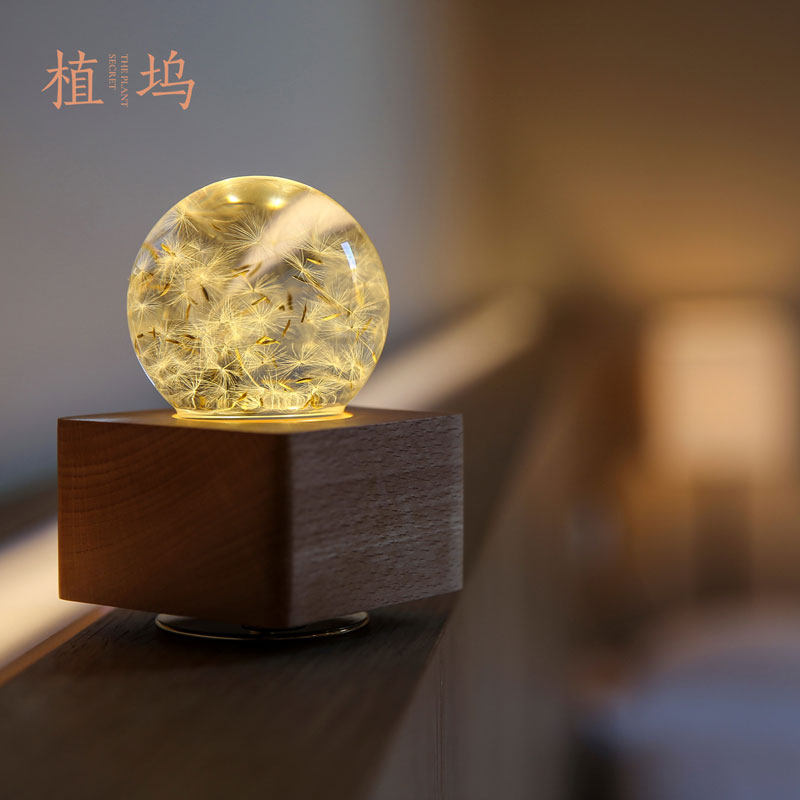 蒲公英音乐盒夜灯 植坞木质水晶球灯永生花生日男女礼物文创