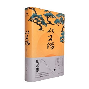 小说 著 从木传 刘辰希