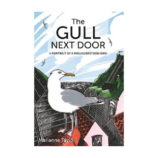 The 隔壁 Gull Door 海鸥 Next 英文原版