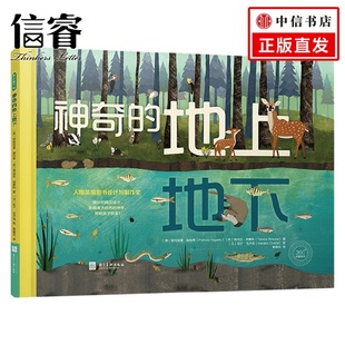 6岁 帕特里夏 赫加蒂等 科普百科 神奇 著 地上地下