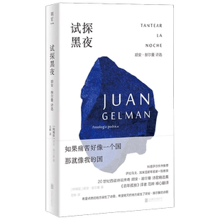 试探黑夜 胡安·赫尔曼 著 诗歌词曲
