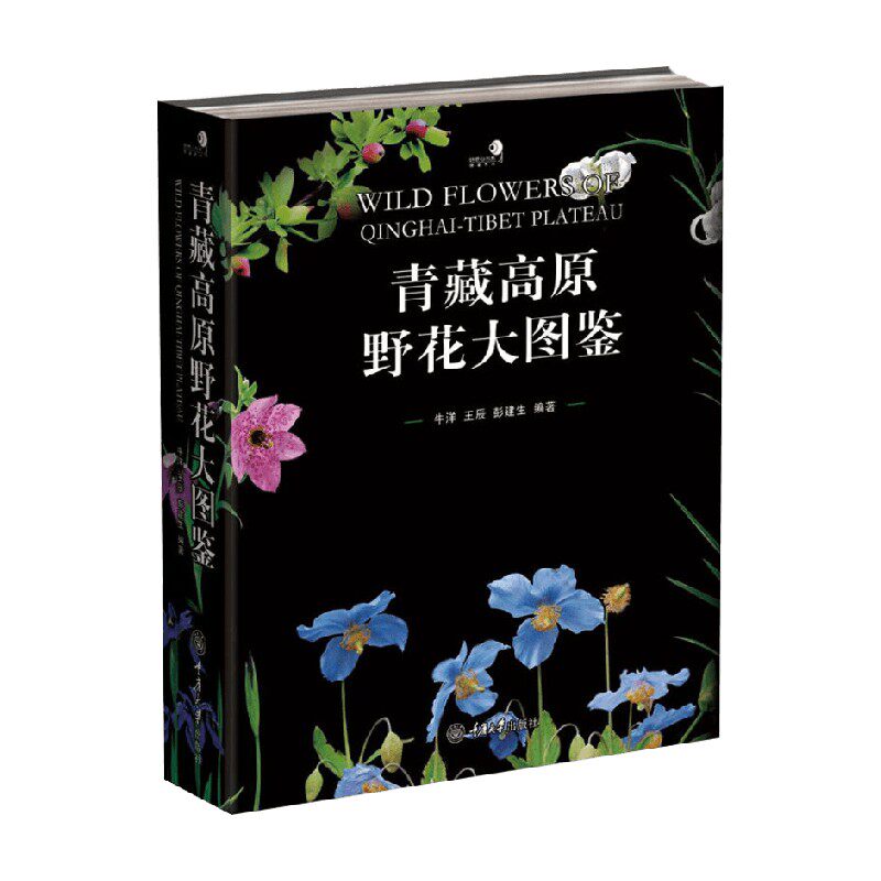 青藏高原野花大图鉴 牛洋等 著 科普读物